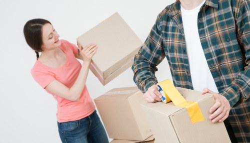 Man with van removal service for Canary Wharf apartment moving